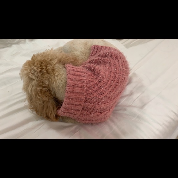 Dog Pink Glitter Jacket Poshmark